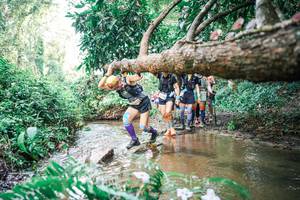 BIB: 
                            <button type="button" onclick="openModal(25514880)" class="btn btn-primary btn-sm float-right btn-popup" data-toggle="modal" data-target=".modal-high-quality">
                        <i class="fas fa-shopping-cart"></i> Add to Cart
                    </button>
                                            <button type="button" onclick="isThisMe(25514880, true)" class="btn btn-success btn-sm float-right btn-popup btn-isme hidden" data-toggle="tooltip" data-placement="bottom" title="นี่คือรูปของคุณใช่ไหม คลิกที่นี่เพื่อเอาเข้าอัลบั้ม">
                        <i class="fas fa-plus"></i> Add to album
                    </button>
                    <button type="button" onclick="isThisMe(25514880, false)" class="btn btn-warning btn-sm float-right btn-popup btn-isnotme hidden">
                        <i class="fas fa-ban"></i> Remove from album
                    </button>